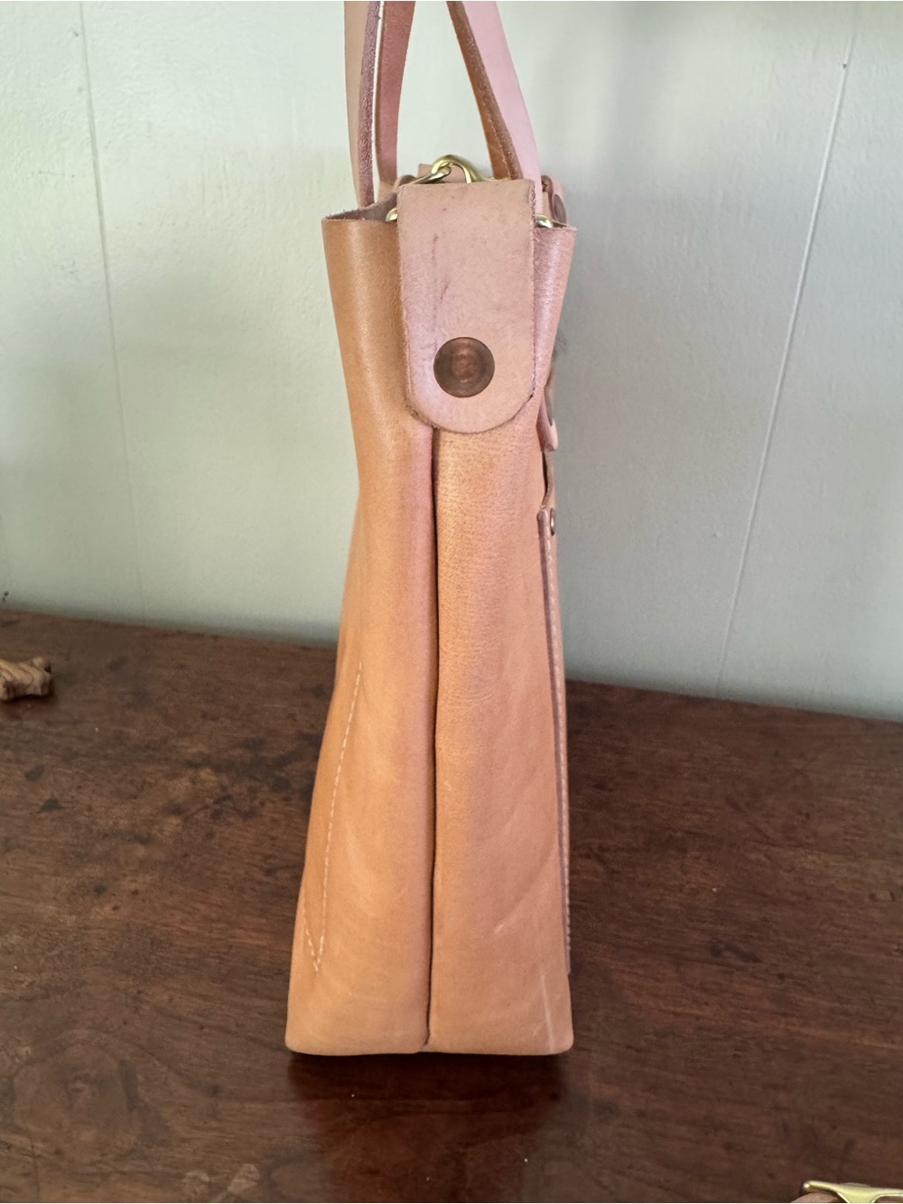 Meanwhile Back On The Farm Virginia Leather Small Tote - Picture 8 of 12
